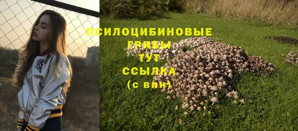 mdpv Волосово