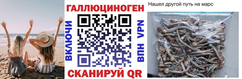Псилоцибиновые грибы мухоморы  omg маркетплейс  Тамбов 